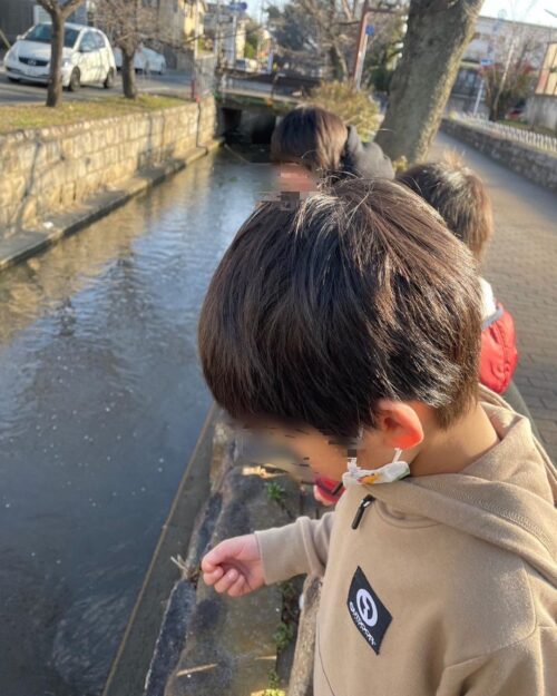 公園で餌やり